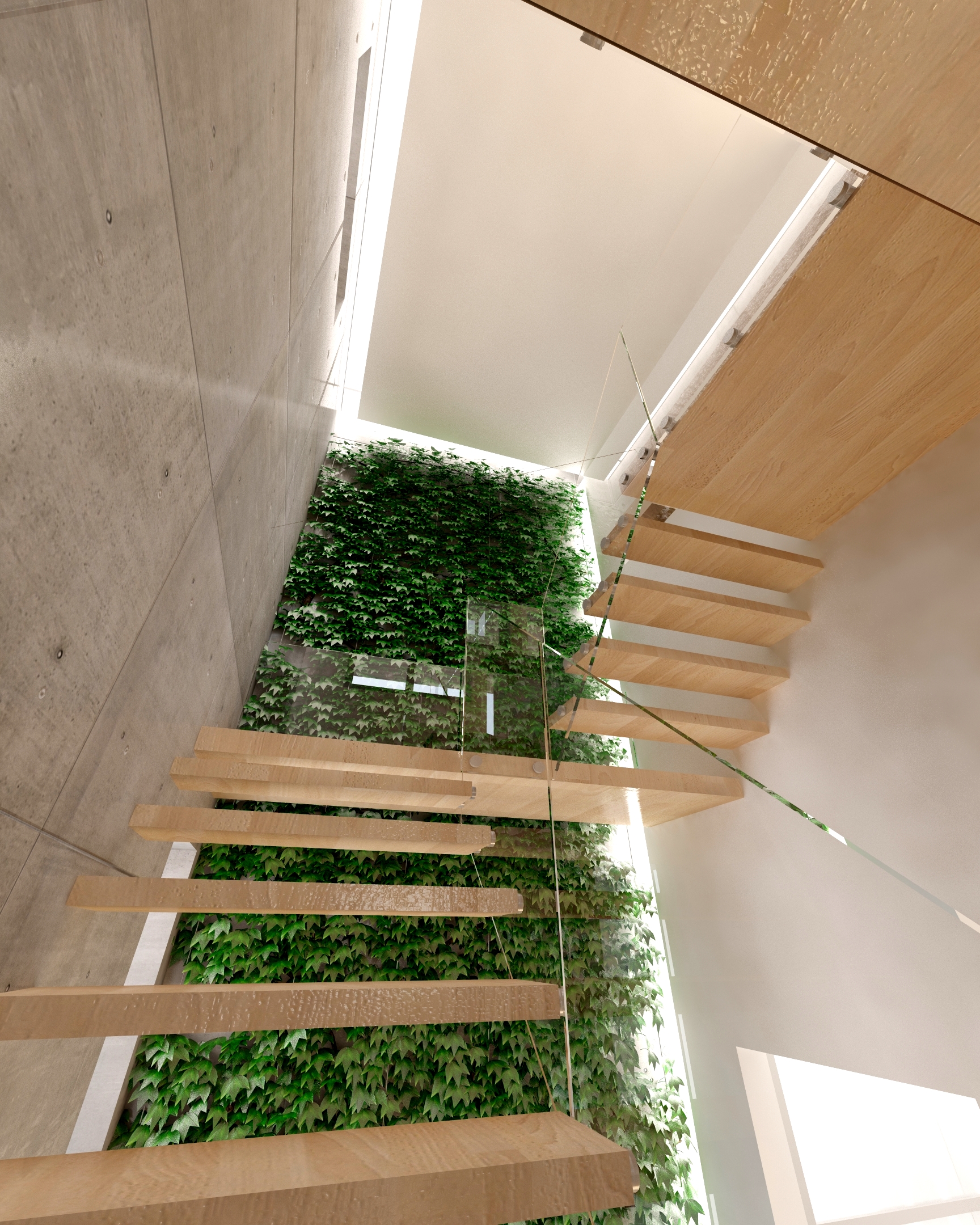 Növényfal- látványterv / Vertical garden - architectural visualization